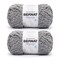 Bernat Sheepy Vapor Gray Yarn - 2 Pack of 250g/8.8oz - Nylon - 6 Super Bulky - 149 Yards - Knitting/Crochet